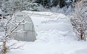greenhouse covered in snow