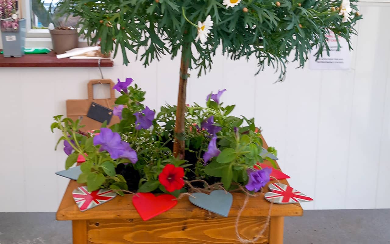 Our Coronation Planter – how to make your own